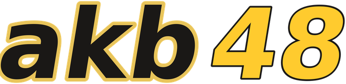 akb48 logo